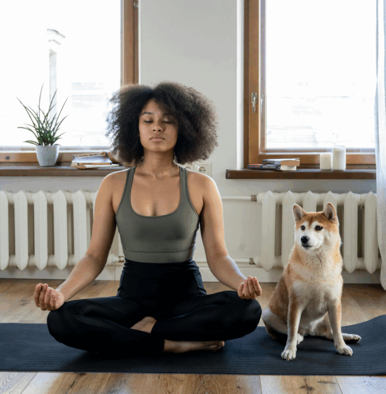 Meditação diaria pode mudar sua vida