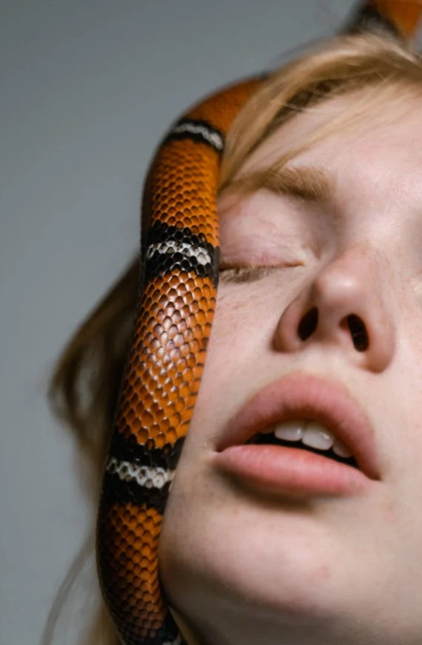 sonhar com cobra
